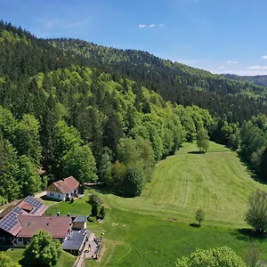 Apartment Altes Forsthaus, Bodenmais